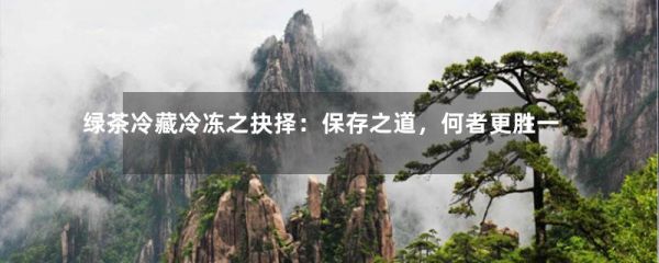 绿茶冷藏冷冻之抉择：保存之道，何者更胜一筹？-第1张-绿茶-凤凰单丛茶网
