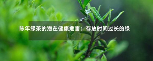 陈年绿茶的潜在健康危害：存放时间过长的绿茶喝多了会怎样？-第1张-绿茶-凤凰单丛茶网