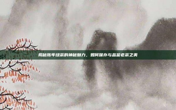 揭秘陈年绿茶的神秘魅力，如何保存与品鉴老茶之美
