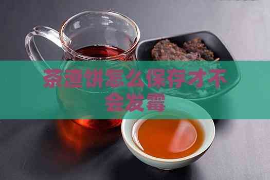 茶渣饼怎么保存才不会发霉