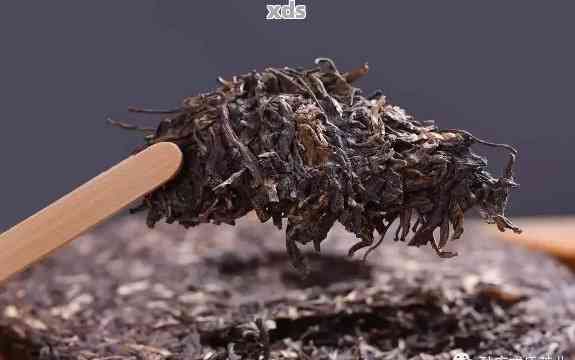 普洱绿茶如何保存，正确保存普洱绿茶的技巧与方法