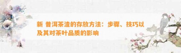 新 普洱茶渣的存放 ：步骤、技巧以及其对茶叶品质的影响