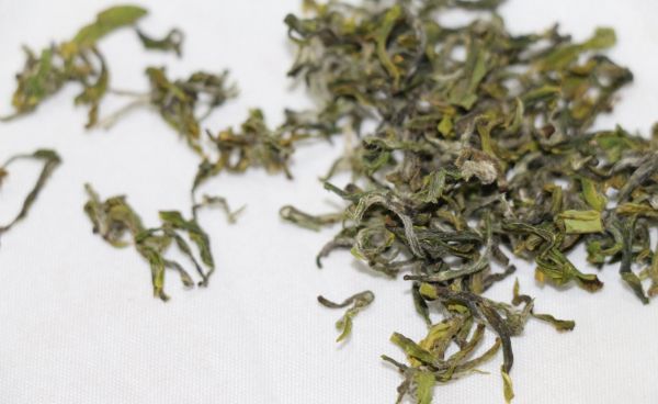 怎么储存日照绿茶