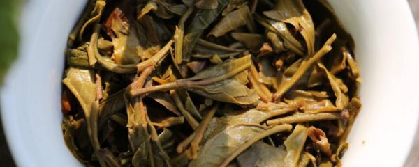 茶叶渣如何做肥料 发霉了还能做肥料吗？