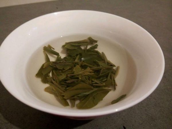 用喝剩的茶叶做花肥，别人家花盆暴长，我家却都发霉了！费解