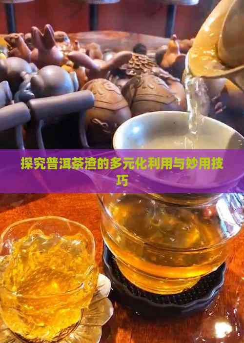 探究普洱茶渣的多元化利用与妙用技巧
