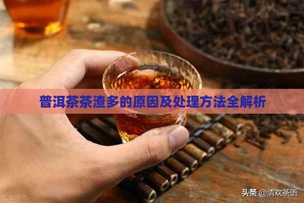 普洱茶茶渣多的原因及處理方法全解析