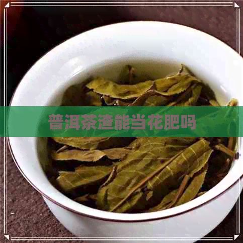 普洱茶渣能当花肥吗