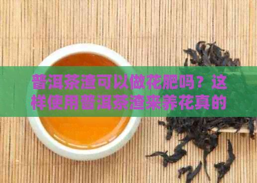 普洱茶渣可以做花肥吗？这样使用普洱茶渣来养花真的很棒