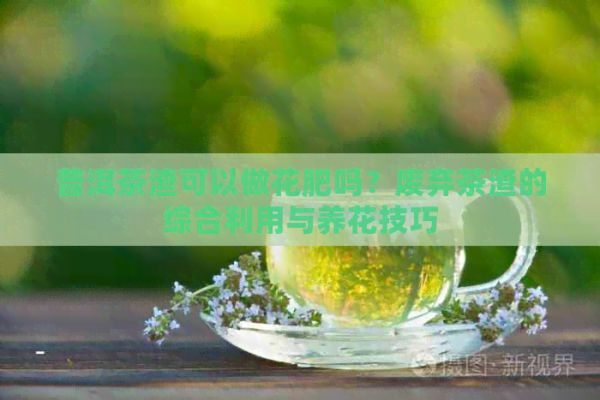 普洱茶渣可以做花肥吗？废弃茶渣的综合利用与养花技巧