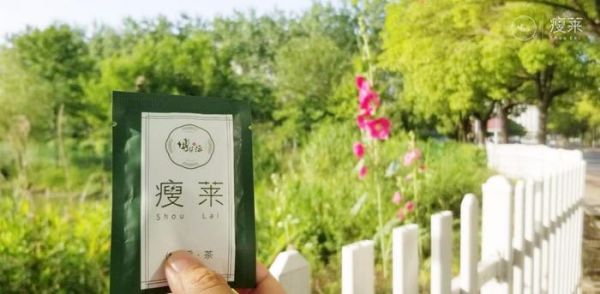 瘦莱体质茶2018年中医健康明星产品