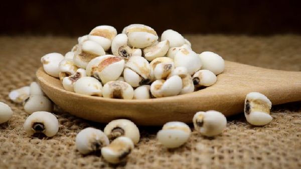 痰湿体质的人减肥吃什么好？痰湿体质减肥食谱有哪些呢？