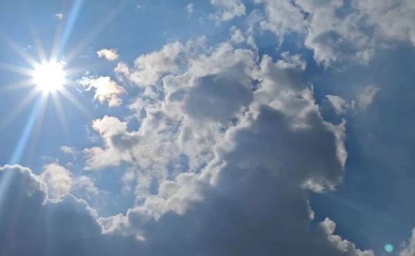 夏季“祛濕黃金期”即將開啟，錯(cuò)過真得等一年！