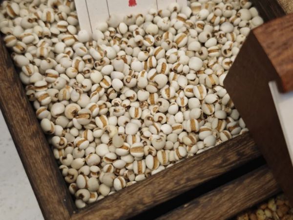 夏季“祛濕黃金期”即將開啟，錯(cuò)過真得等一年！