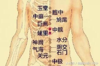 調理痰濕體質，食療方法講究多