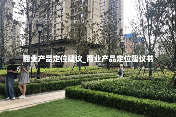 商业产品定位建议_商业产品定位建议书