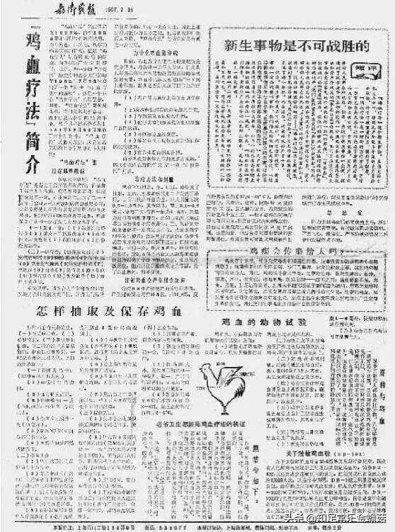 文章图片3