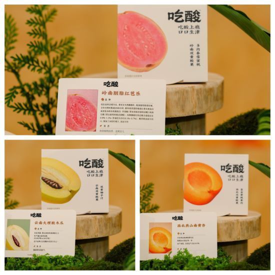 沪上体验“自然食酸”:卡士“吃酸”系列品鉴会让山野酸果走进都市生活