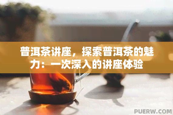 普洱茶講座，探索普洱茶的魅力：一次深入的講座體驗
