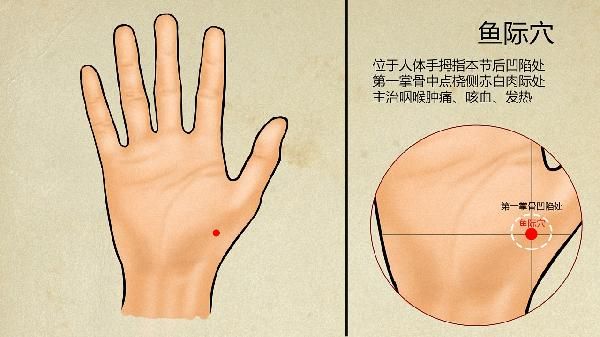 常見的中醫(yī)養(yǎng)生茶配方有哪些 10種養(yǎng)生茶配方