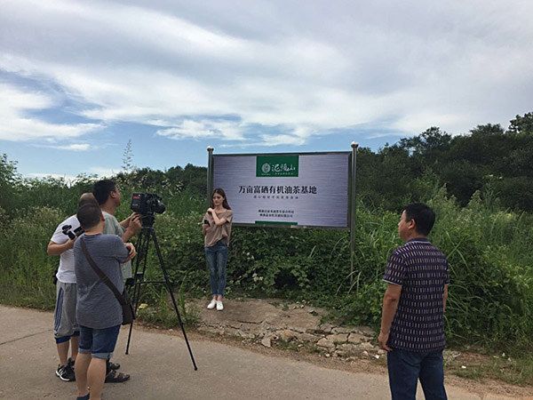 权威发布 || 新华指数 10月下半月全国油茶籽精炼油（压榨一级）价格指数微幅上涨