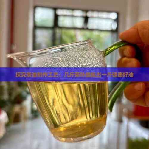探究茶油制作工艺：几斤茶叶提炼出一斤健康好油