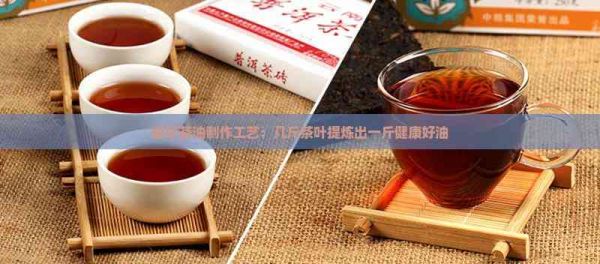 探究茶油制作工艺：几斤茶叶提炼出一斤健康好油