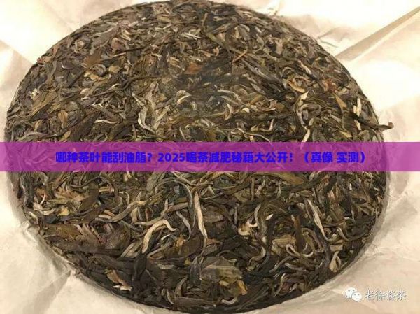 什么茶葉能刮油脂