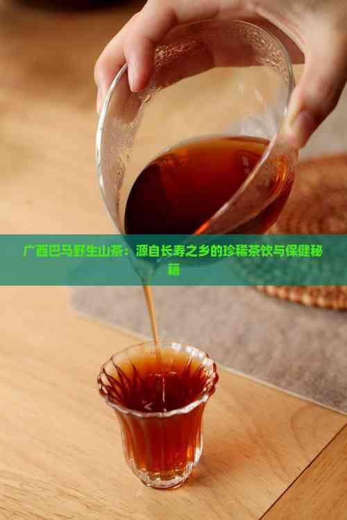 廣西巴馬野生山茶：源自長(zhǎng)壽之鄉(xiāng)的珍稀茶飲與保健秘籍