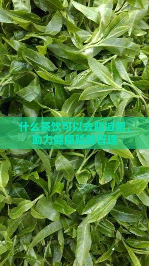 什么茶飲可以去脂減肥，助力健康脂肪管理