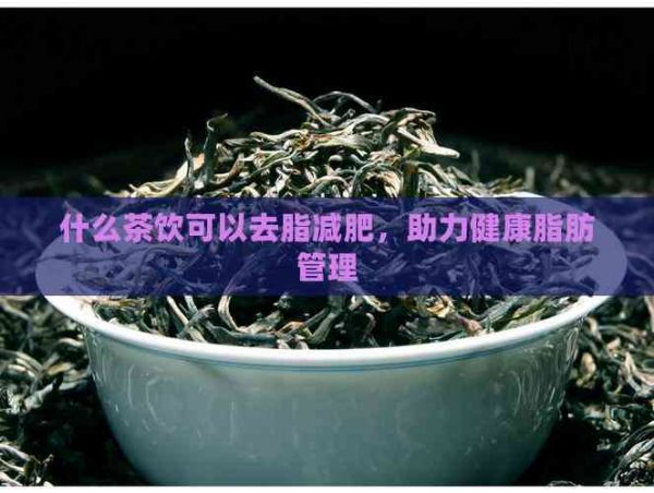 什么茶飲可以去脂減肥，助力健康脂肪管理