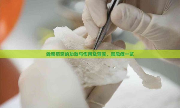 蜂蜜燕窝的功效与作用及营养、禁忌症一览