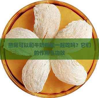 燕窝可以和牛奶蜂蜜一起吃吗？它们的作用与功效
