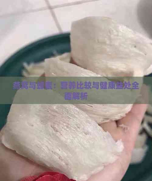 燕窝与蜂蜜：营养比较与健康益处全面解析