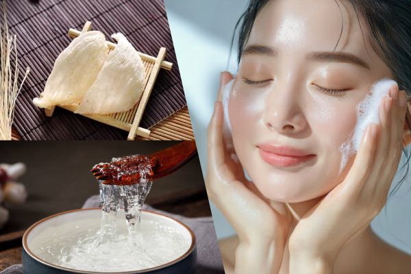 燕窩能美容養(yǎng)顏？| 百子柜