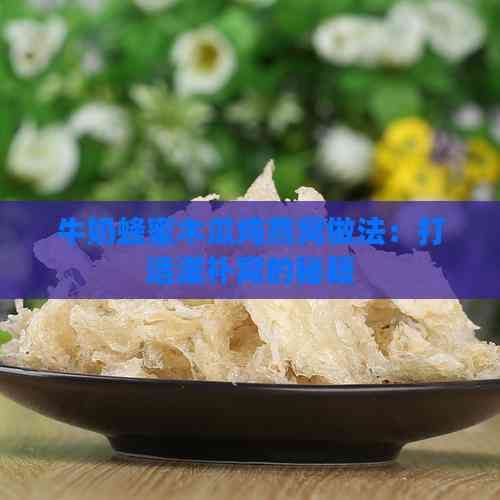 牛奶蜂蜜木瓜燉燕窩做法：打造滋補(bǔ)窩的秘籍