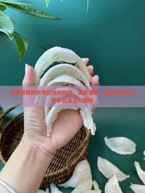 蜂蜜燕窩的多重功效與作用：美容養(yǎng)顏、增強(qiáng)免疫力及更多健康益處揭秘