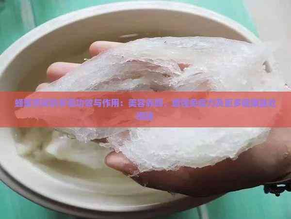 蜂蜜燕窩的多重功效與作用：美容養(yǎng)顏、增強(qiáng)免疫力及更多健康益處揭秘