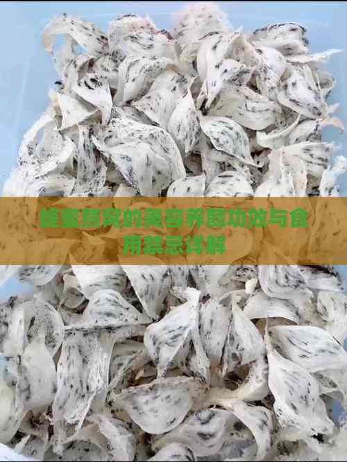 蜂蜜燕窩的美容養(yǎng)顏功效與食用禁忌詳解