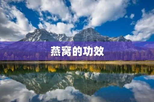 燕窝的功效:美容养颜、补充营养、促进健康