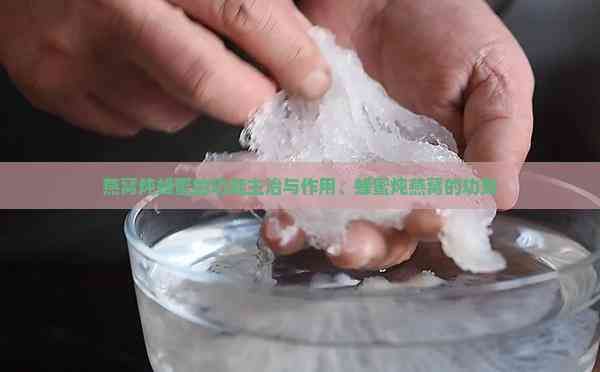 燕窩燉蜂蜜的功能主治與作用、蜂蜜燉燕窩的功效