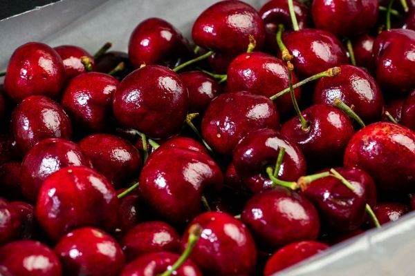 晚上可以吃車?yán)遄訂?></p><h3>晚上食用車?yán)遄幼⒁馐马?xiàng)</h3><p><strong>　　1、適量食用<br></strong></p><p>　　雖然車?yán)遄訝I(yíng)養(yǎng)豐富，但過(guò)量食用也可能導(dǎo)致腹脹、腹瀉等不適。因此，建議每次食用不超過(guò)一小把為宜。</p><p><strong>　　2、避免空腹食用</strong></p><p>　　空腹食用車?yán)遄涌赡艽碳の杆岱置谶^(guò)多，對(duì)胃黏膜造成刺激。因此，最好在晚餐后一段時(shí)間再食用。</p><p><strong>　　3、注意個(gè)人體質(zhì)</strong></p><p>　　對(duì)某些人來(lái)說(shuō)，車?yán)遄涌赡芤l(fā)過(guò)敏反應(yīng)。因此，在食用前請(qǐng)確保自己對(duì)其無(wú)過(guò)敏反應(yīng)。</p><p>　　晚上適量食用車?yán)遄佑幸嬗谙?、補(bǔ)充營(yíng)養(yǎng)，并可能助于睡眠，但需注意控制量，避免空腹食用，并考慮個(gè)人體質(zhì)，以確保健康。</p><p style=