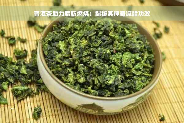 普洱茶助力脂肪燃燒：揭秘其神奇減脂功效