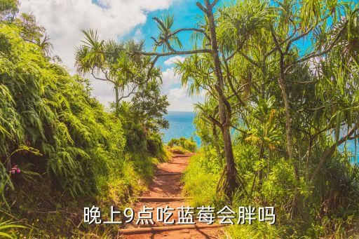 晚上9點(diǎn)吃藍(lán)莓會(huì)胖嗎