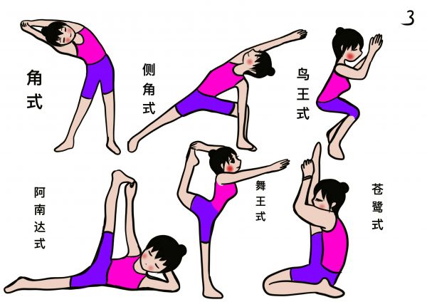 什么是瑜伽？它有哪些常見的流派？