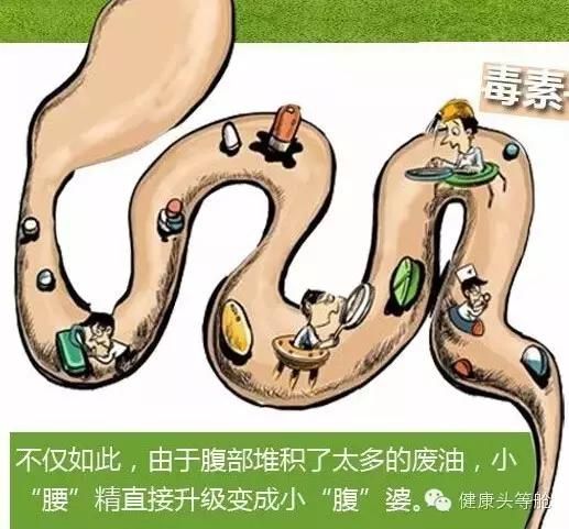 腸道健康決定你壽命的長短，腸道壽命就是人的壽命