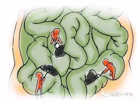 腸道健康決定你壽命的長短，腸道壽命就是人的壽命