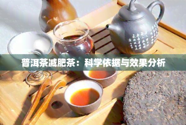 普洱茶減肥茶：科學依據(jù)與效果分析