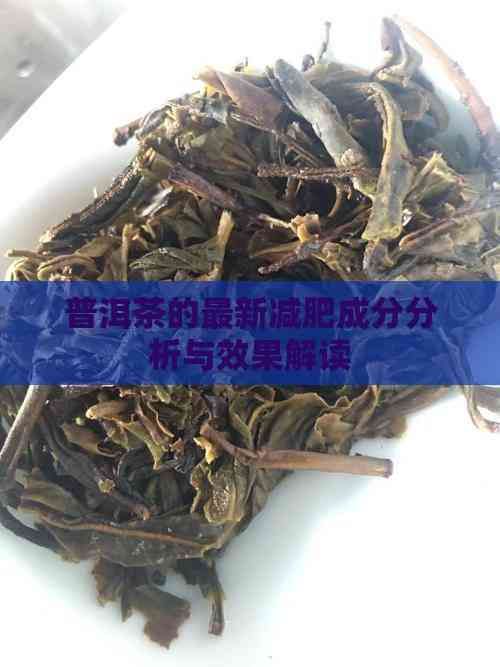 普洱茶的最新減肥成分分析與效果解讀