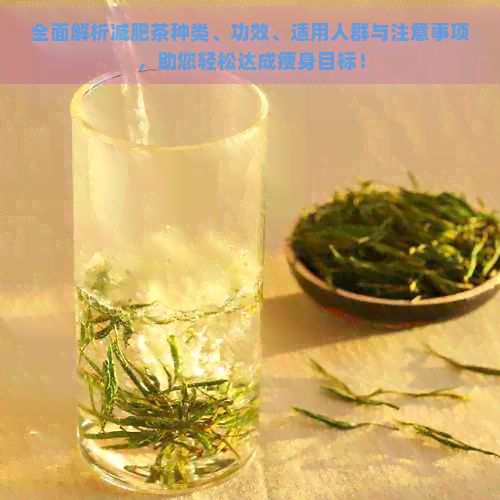 全面解析減肥茶種類、功效、適用人群與注意事項，助您輕松達成瘦身目標！